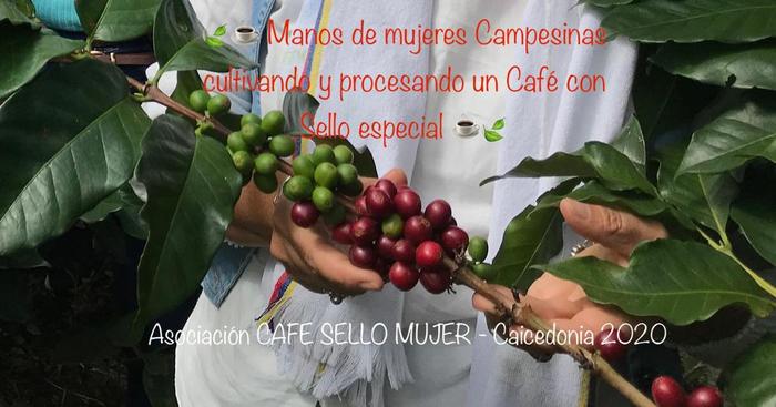 Café Sello Mujer / Por Mario Ramírez Monard