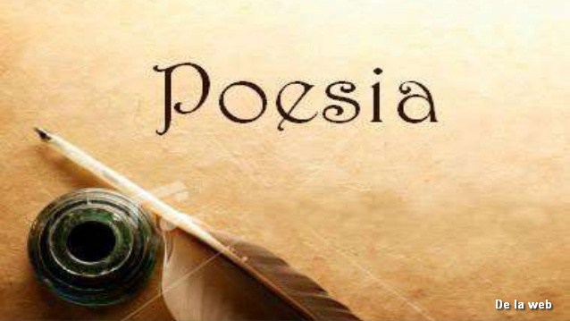 Venas entre poema y poesía / Por Sara Lucía Ospina Fayad.
