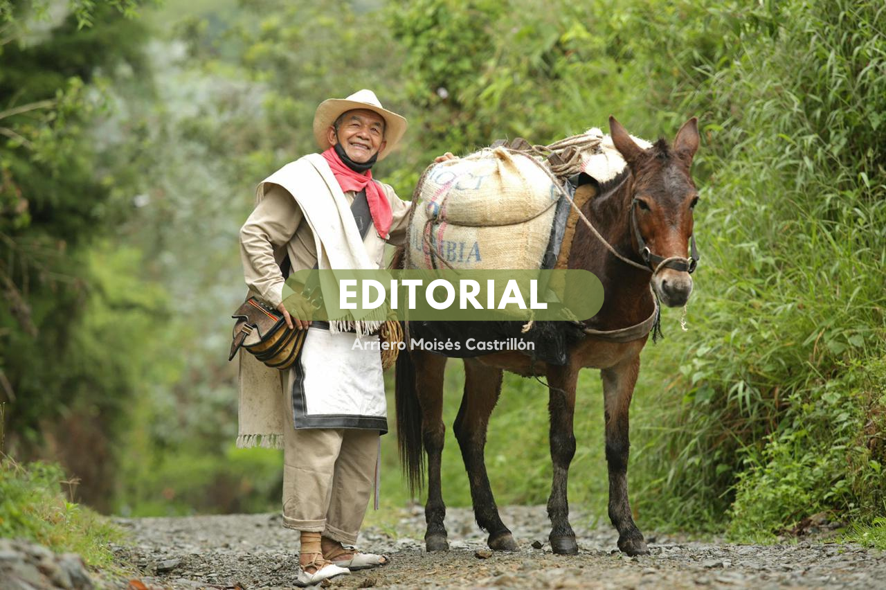 Editorial