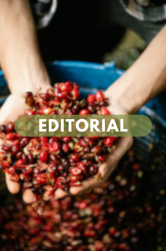 Editorial