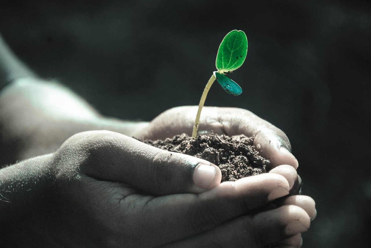 La cultura ecoambiental, una cuestión de vida / Carlos Alberto González Quitan