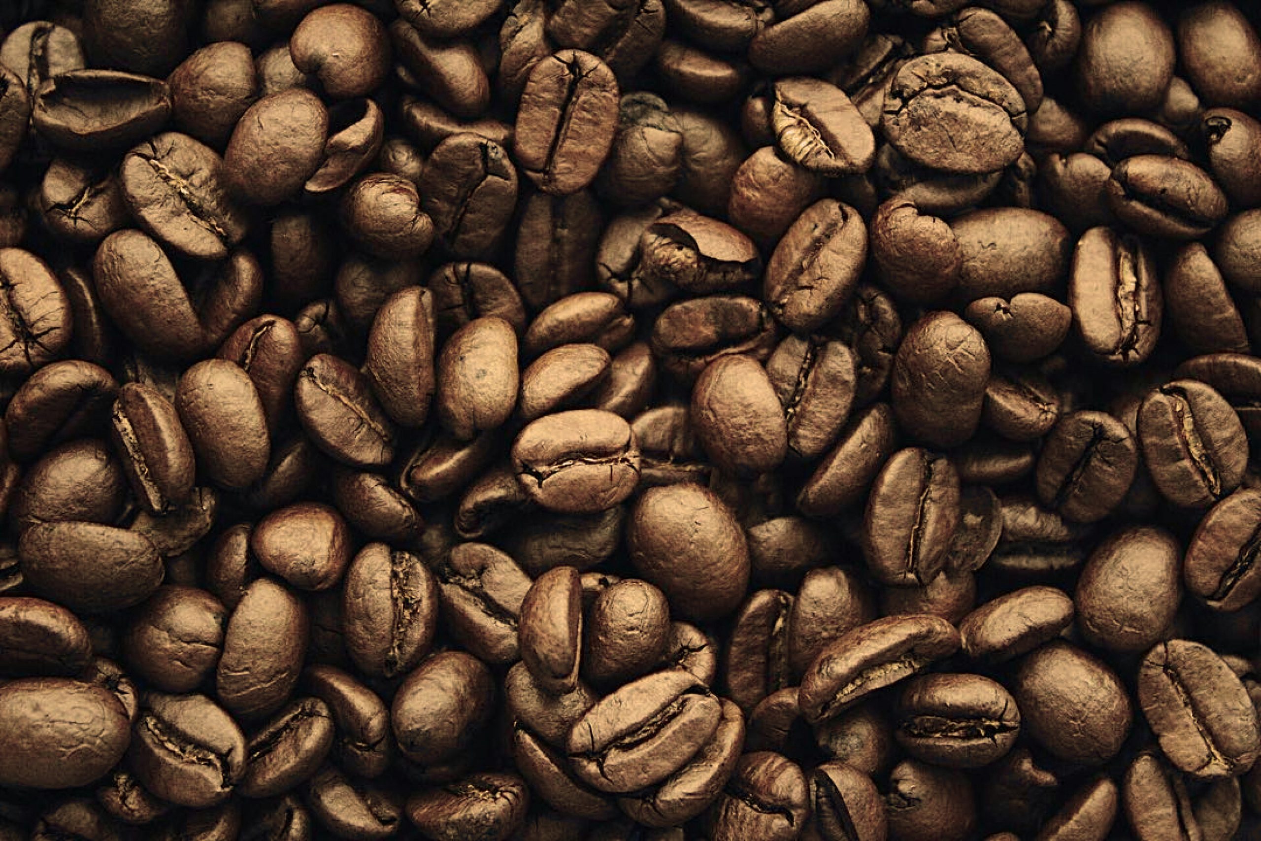 PRODUCIMOS LA BEBIDA DE LOS DIOSES… EL CAFÉ.