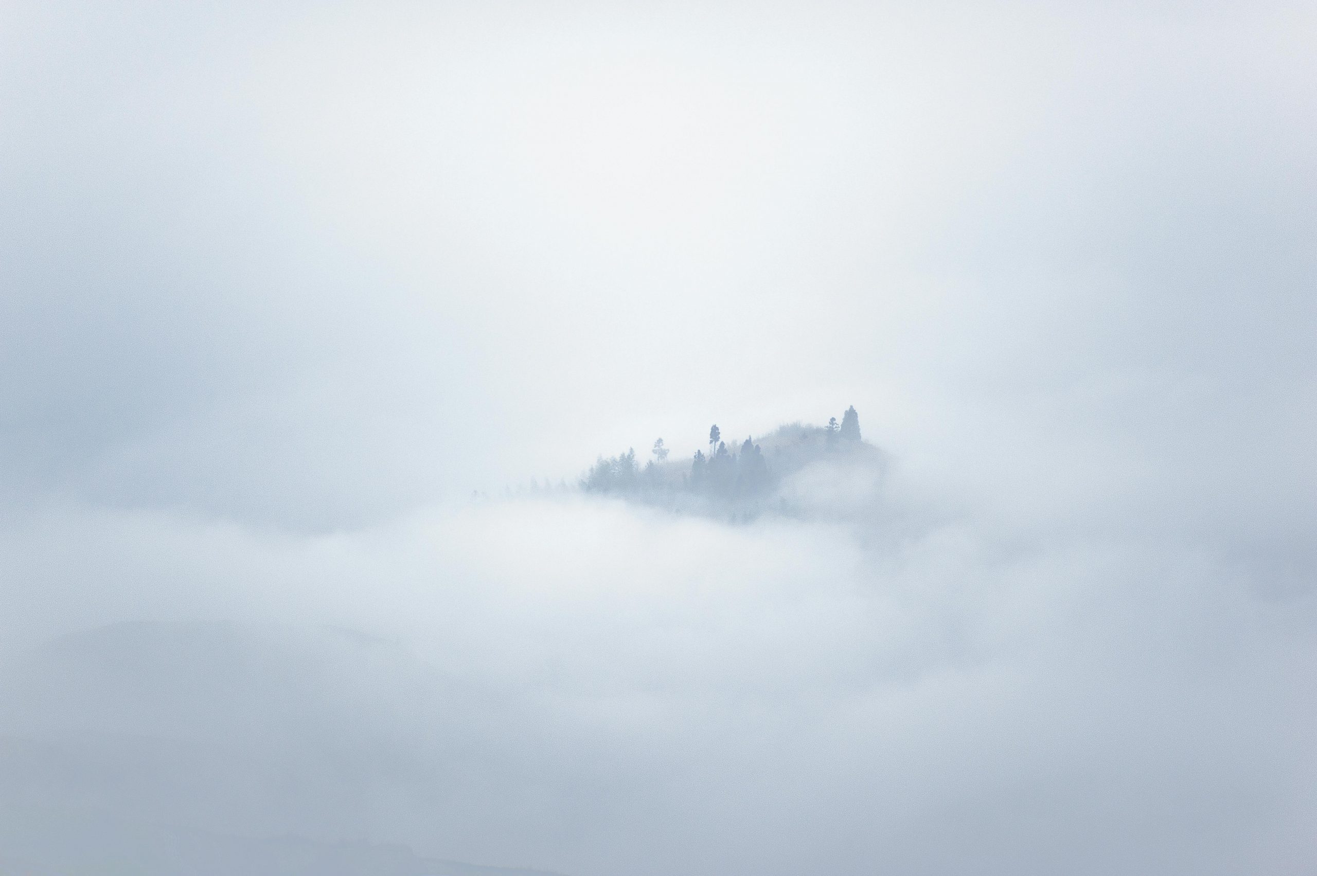 ANTOLOGÍA DE HAIKUS A LA NEBLINA VARIOS AUTORES