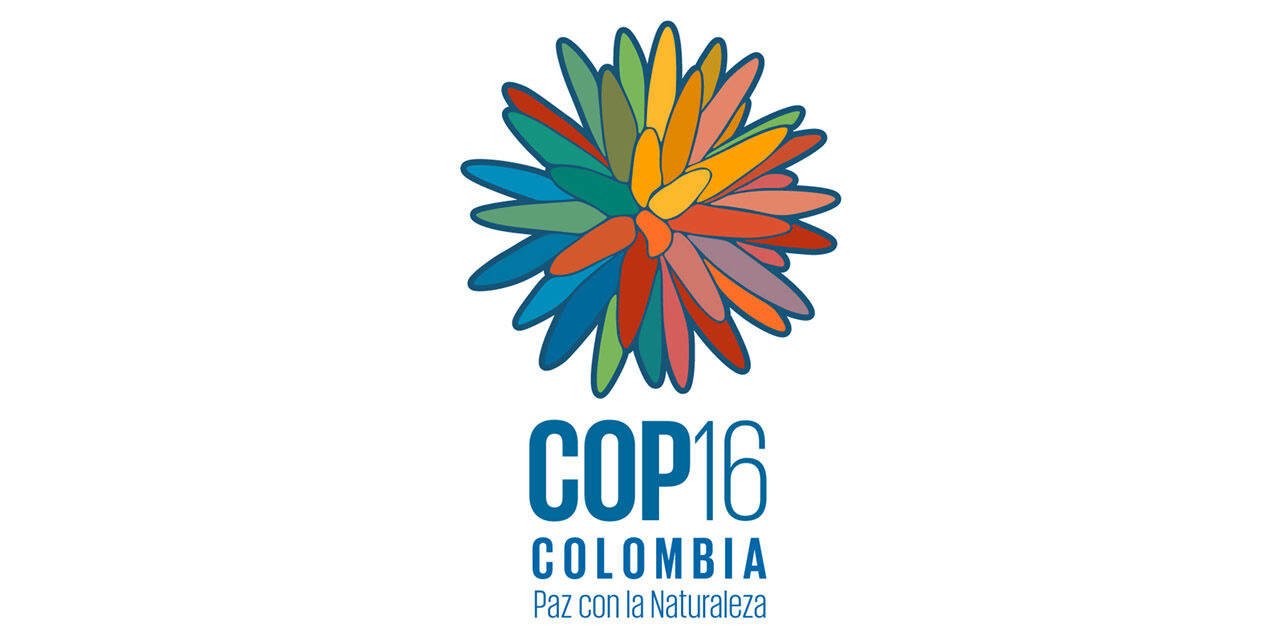 LA COP16 EN RETROSPECTIVA