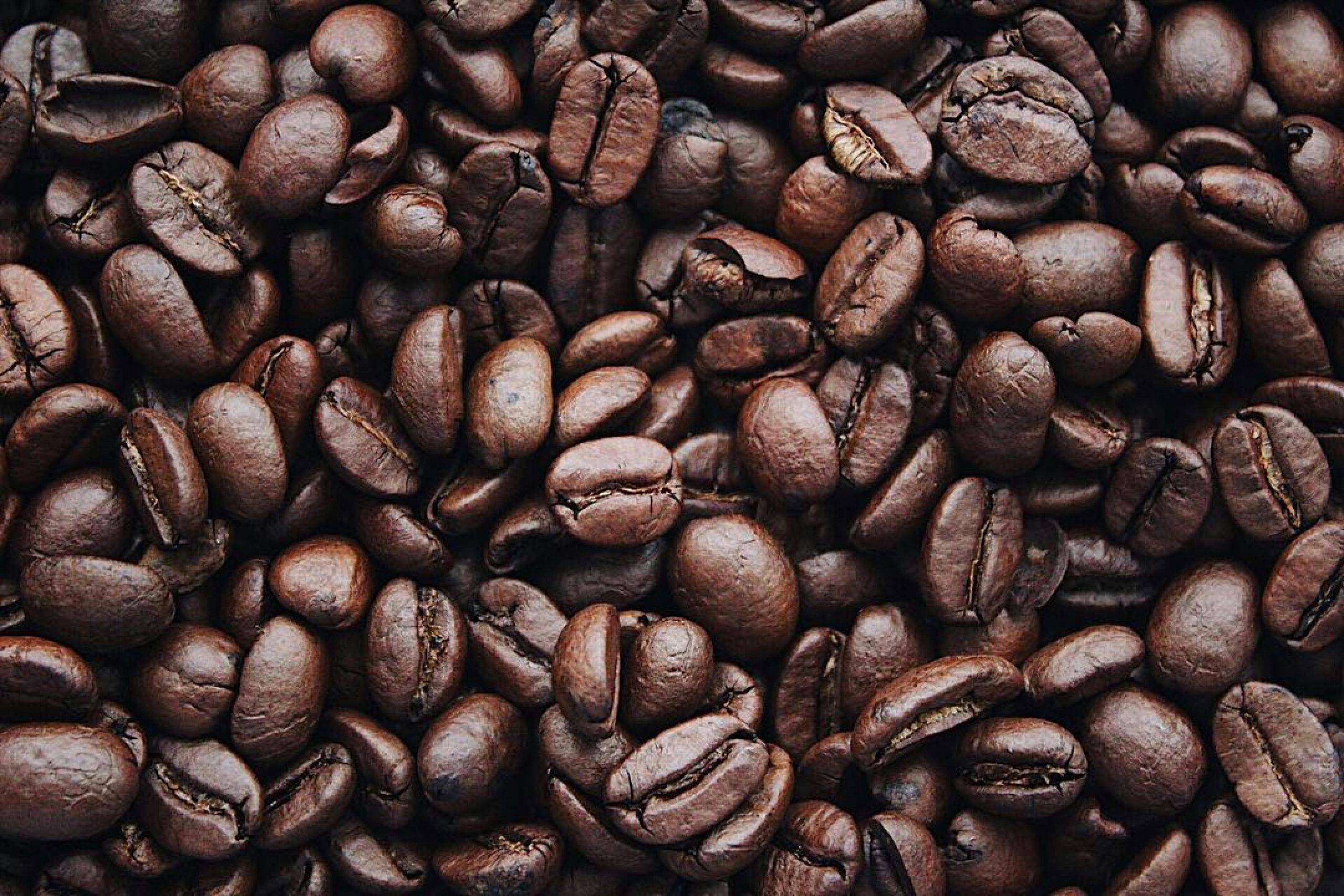 UNA FRUSTADA BONANZA CAFETERA