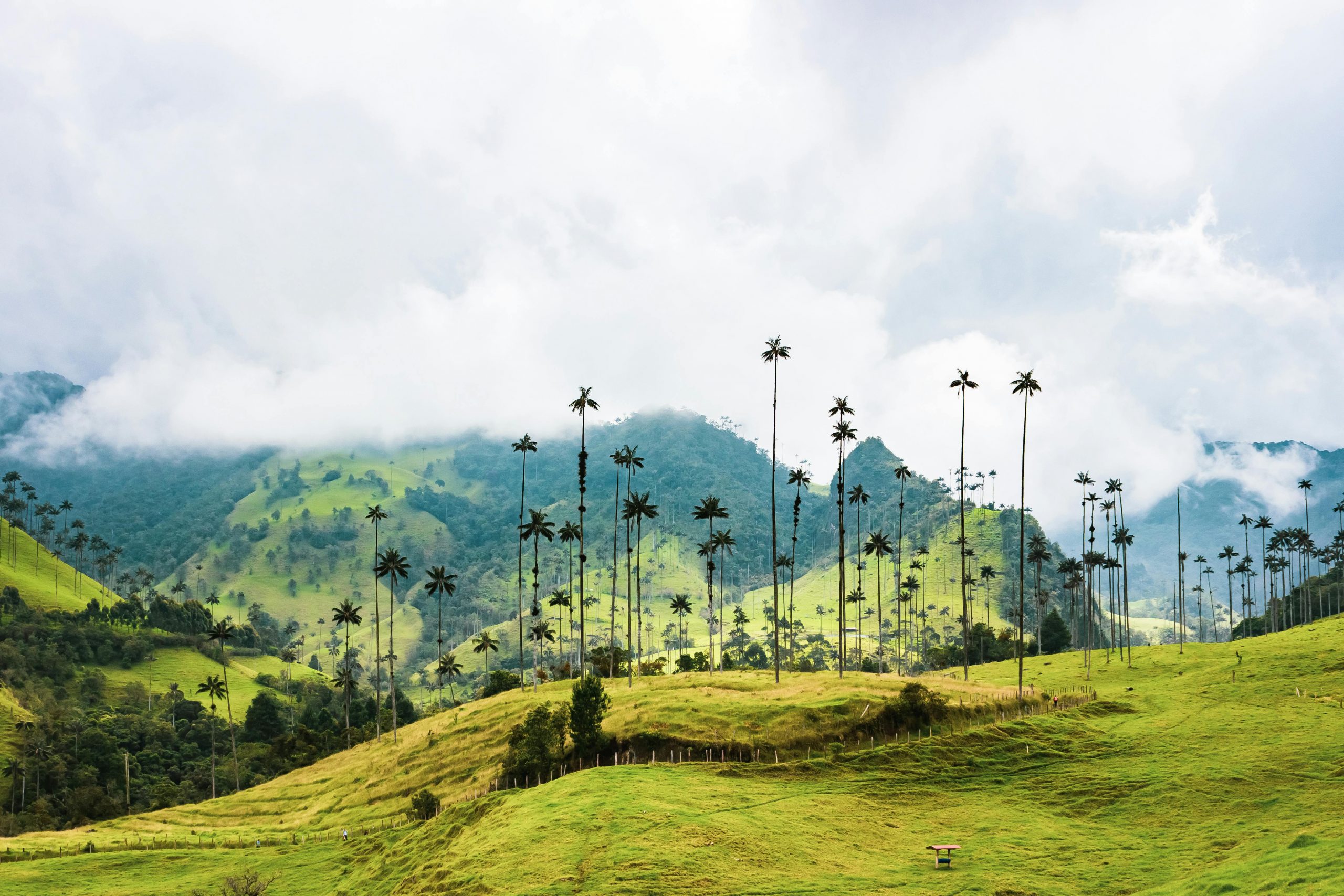 REFLEXIONES SOBRE EL DEVENIR HISTÓRICO DE “EL PARAISO DE LOS COLIBRÍES”