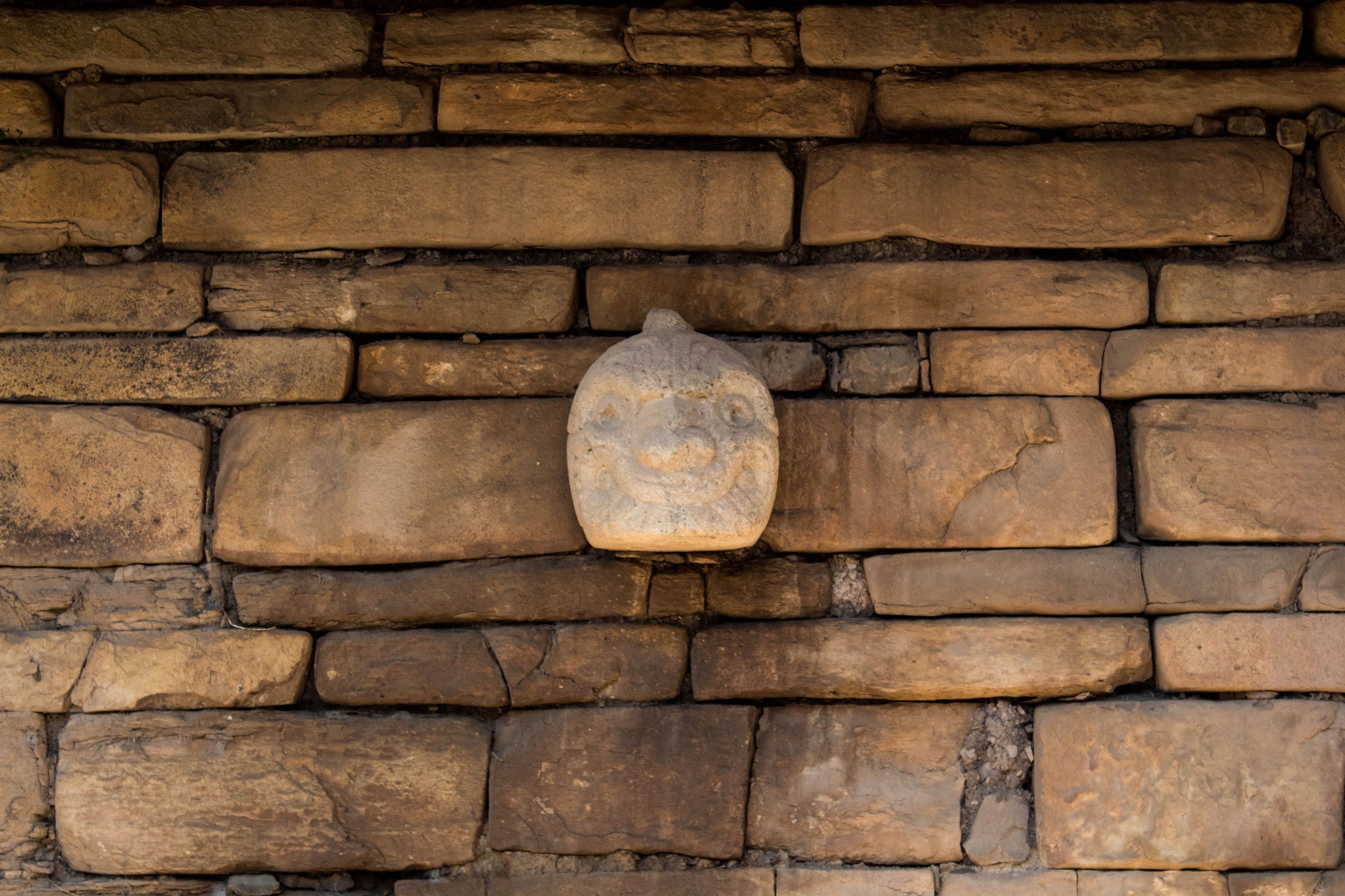 Medio ambiente y arqueología      